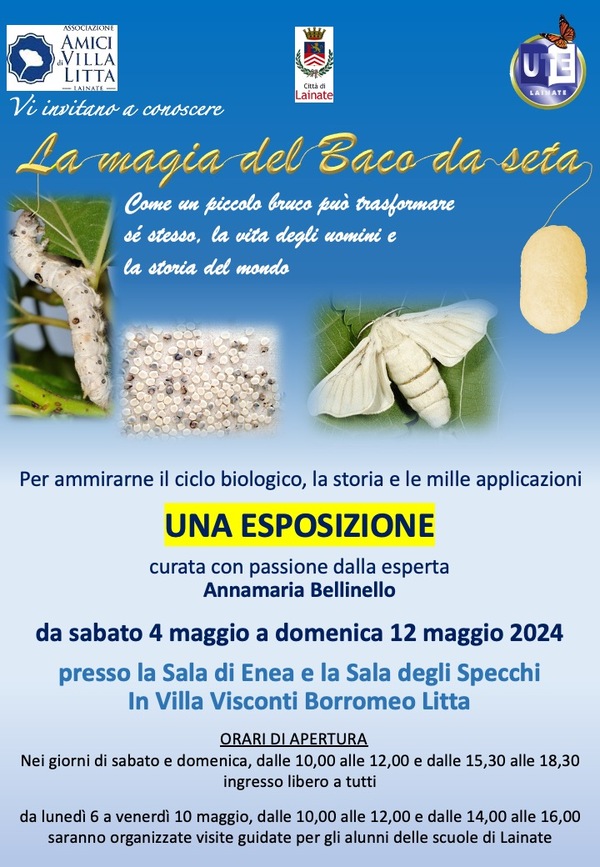 La Magia del Baco da seta